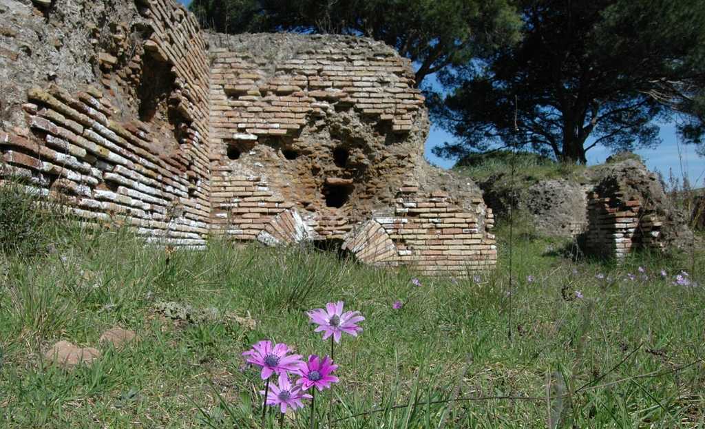 La villa romana di Procoio